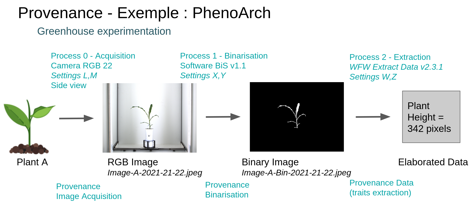 provenance