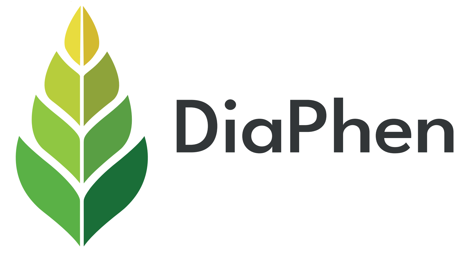 logo_diaphen