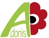 Adonis