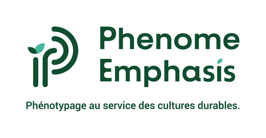 logo_phenome_emphasis